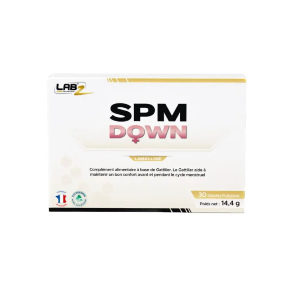 Screenshot 2024-02-27 at 17.13 Background Removed.20