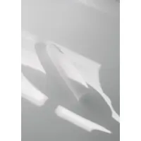 dildo-design-aruba-weiss-dekobild