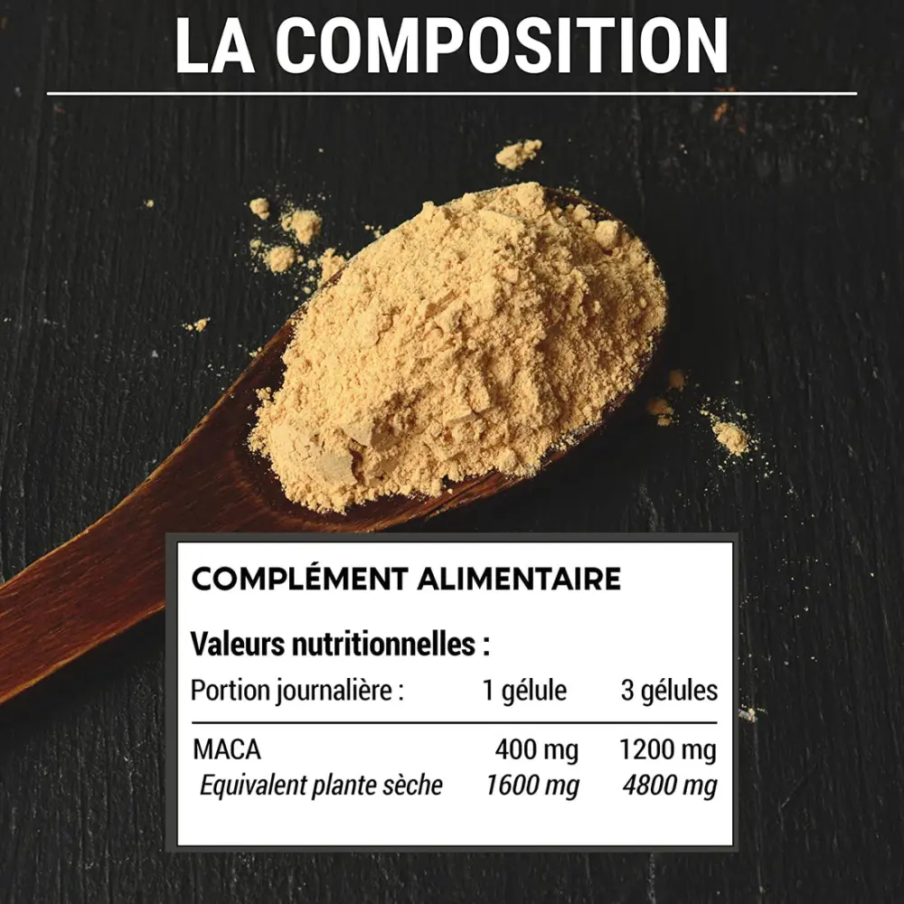 81-QGCiHOLL._AC_SL1500