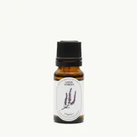 Essential-Oil-Lavander-Kashmir