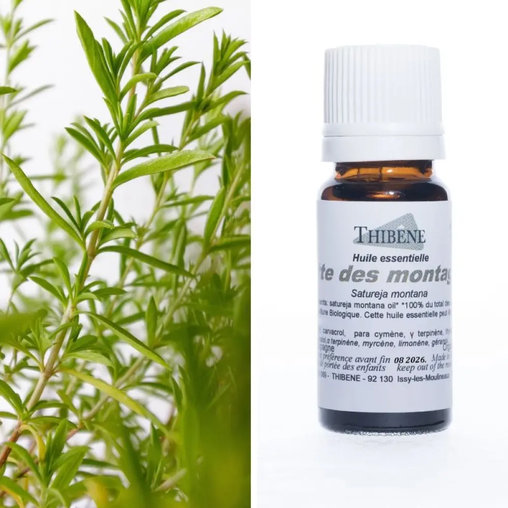 sarriette-des-montagnes