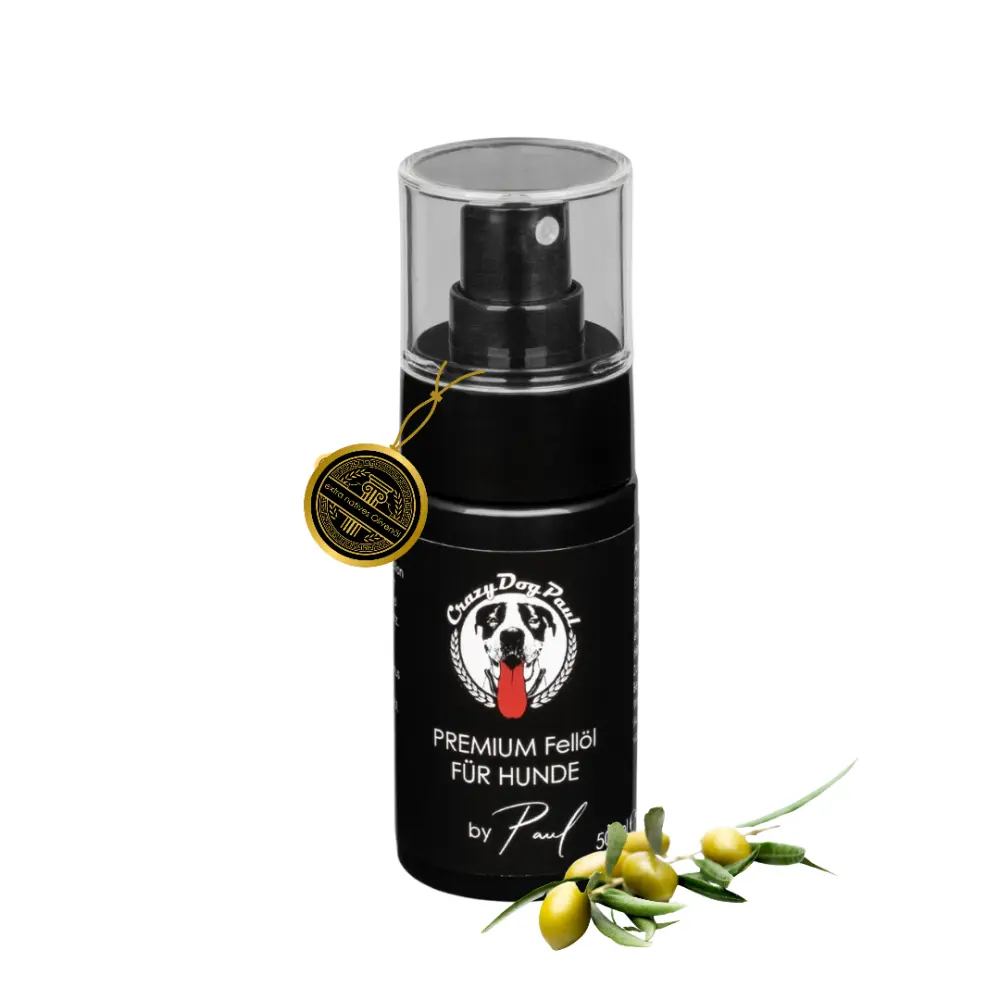 Crazydogpaul_Fellpflege_für_Hunde01