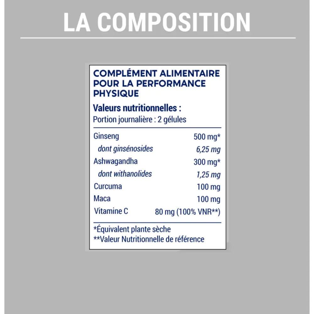 2_1d5e0848-9435-4b19-9435-d212554cde7c