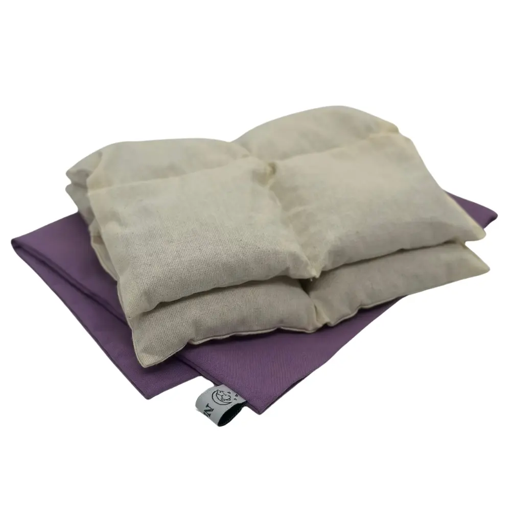 35x20 V2 - Lila ohne Hintergrund