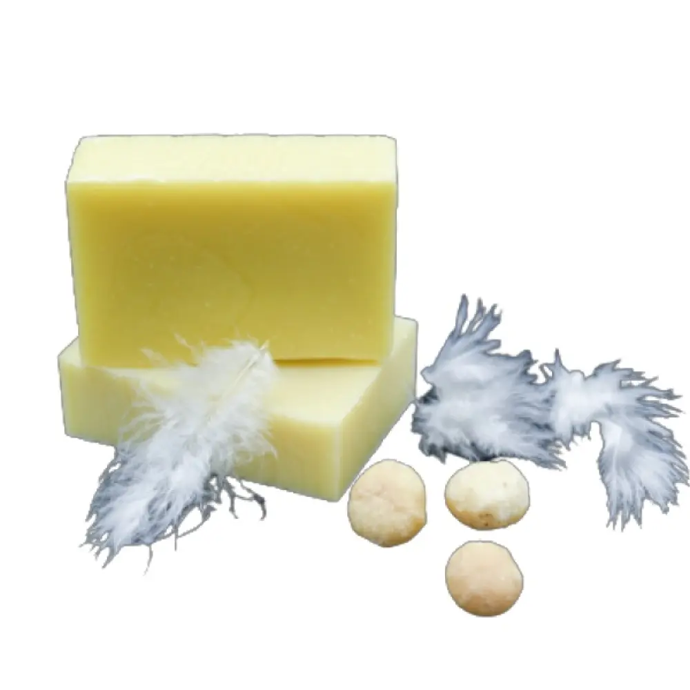 c3dc3c6e-5dab-46dd-bc8c-399029ac52b2-1