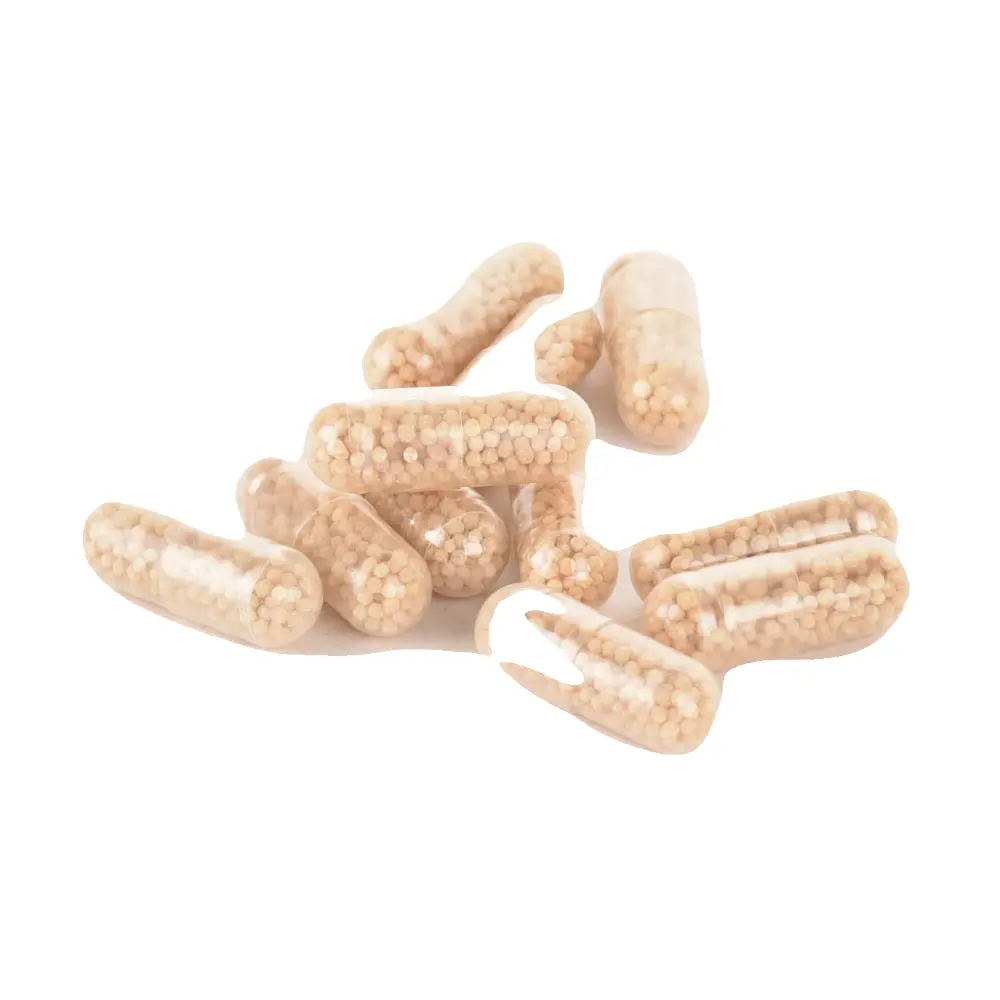 DSC_7176-3701157900003