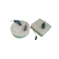 2178260435-Photoroom.png-Photoroom