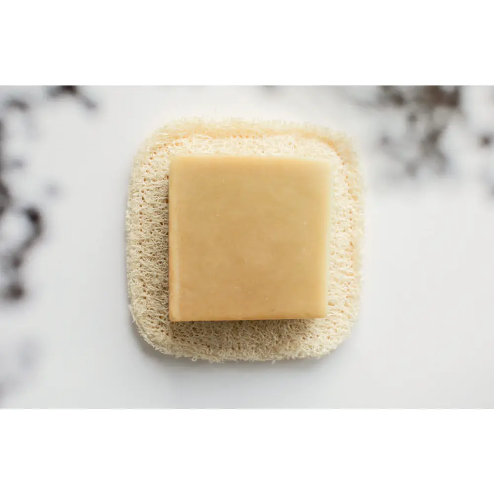 CharlottedeSchutter__12_1