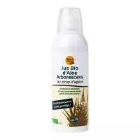 Aloe-arbo-agave-1