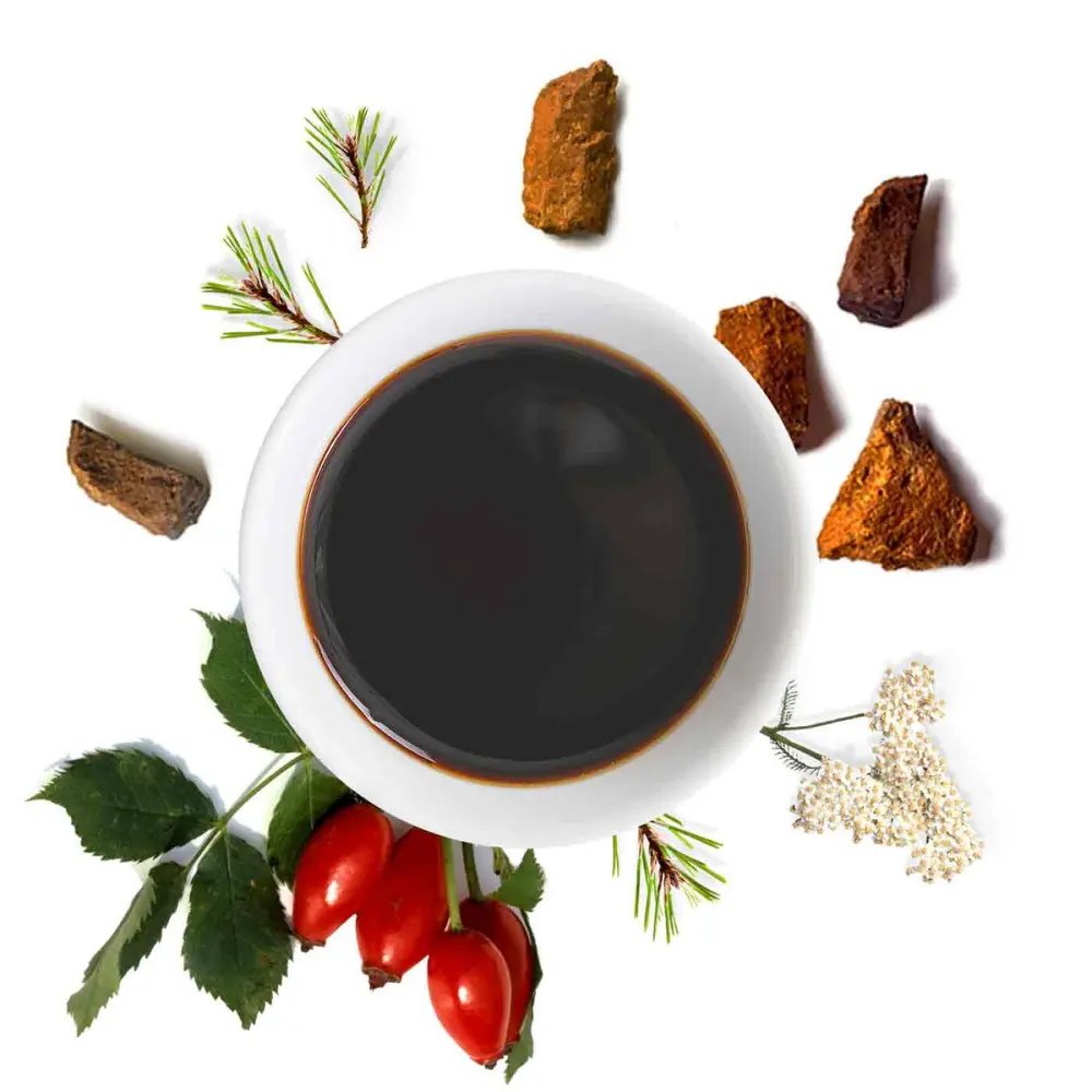 Elixirchagacynorrhodonbioarticulationsimmuniteamoseedsspecialistedessuperalimentsbio_46116454-1048-401c-968c-b2caf651d20e_1200x