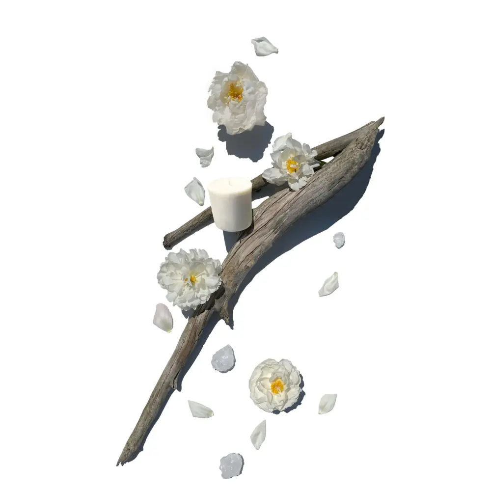 FleurdeSelPetiteRefill