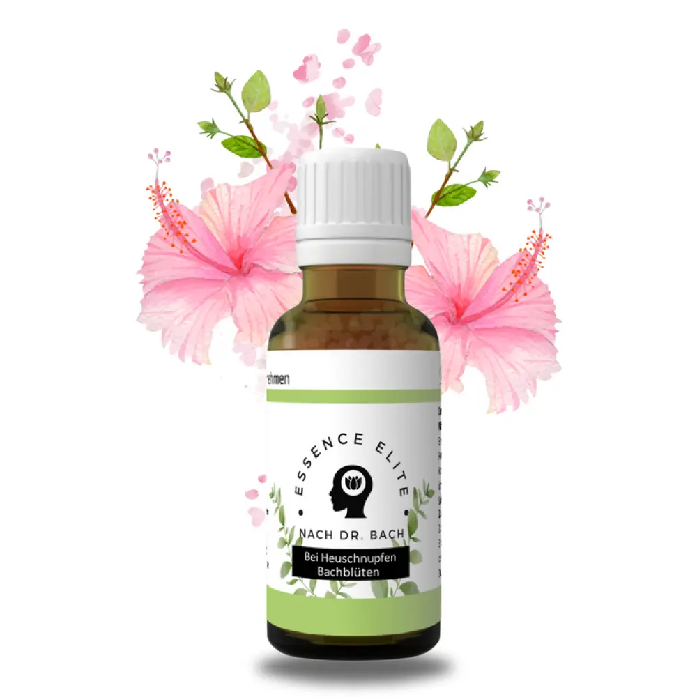 FlscheHeuschnupfenShopify