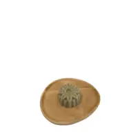 1746524986992-removebg-preview