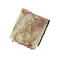 IMG_3923-scaled Background Removed