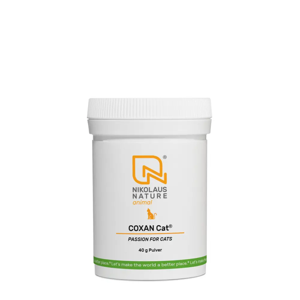 NN_animal_coxan-cat-1678193797-bild-2000