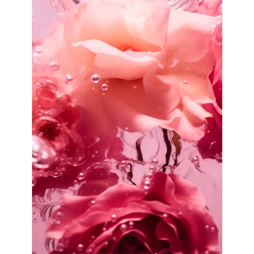 MASQUE RÉGÉNÉRANT - 4