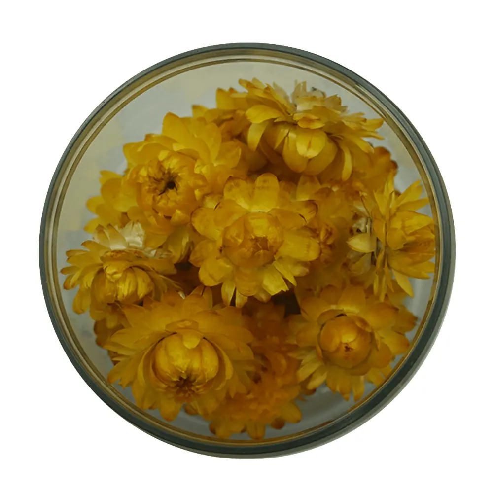 Strohblumen_Gelb