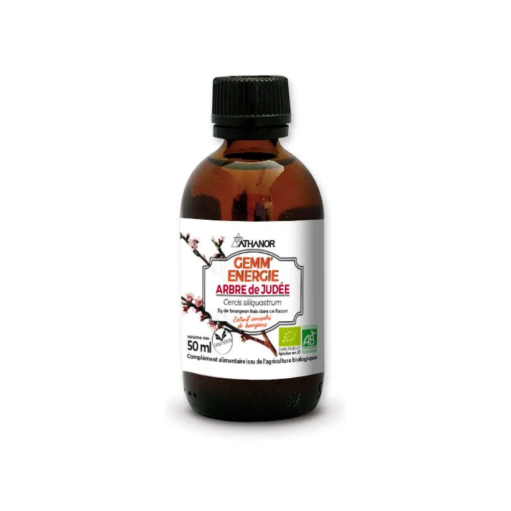 gemm-energie-arbre-de-judee_01