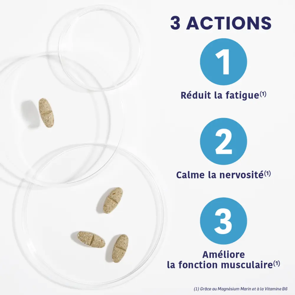 MAGNE_MARIN_360_EXTRA_FORT_1400X1400px2_800x