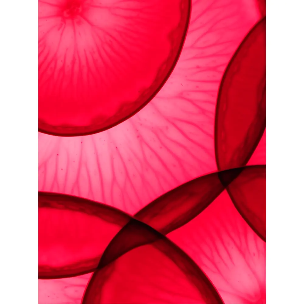 GELEE ANTIOXYDANTE - 4