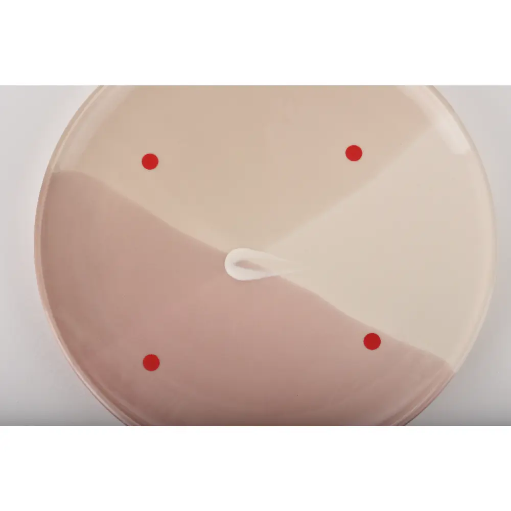 DSC_3293-0099461611245-UNKNOWN