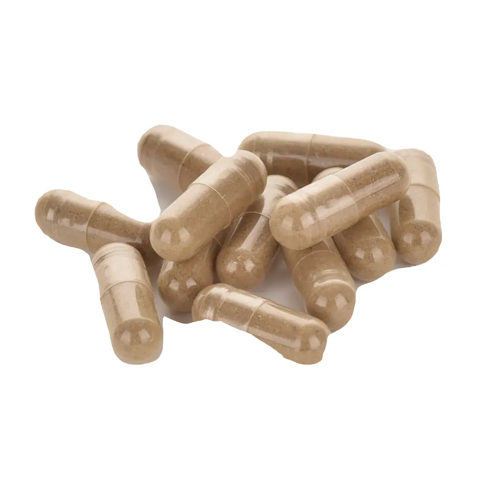 DSC_2313-3760235030698