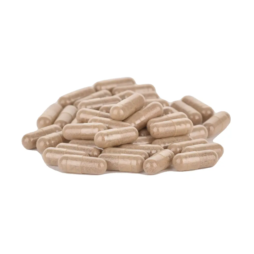 DSC_1877-3770022913004