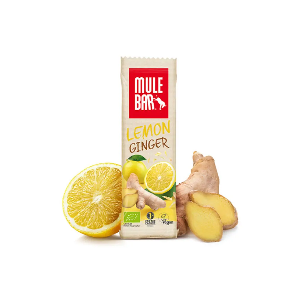 barre-energetique-bio-vegan-40g-citron-gingembre