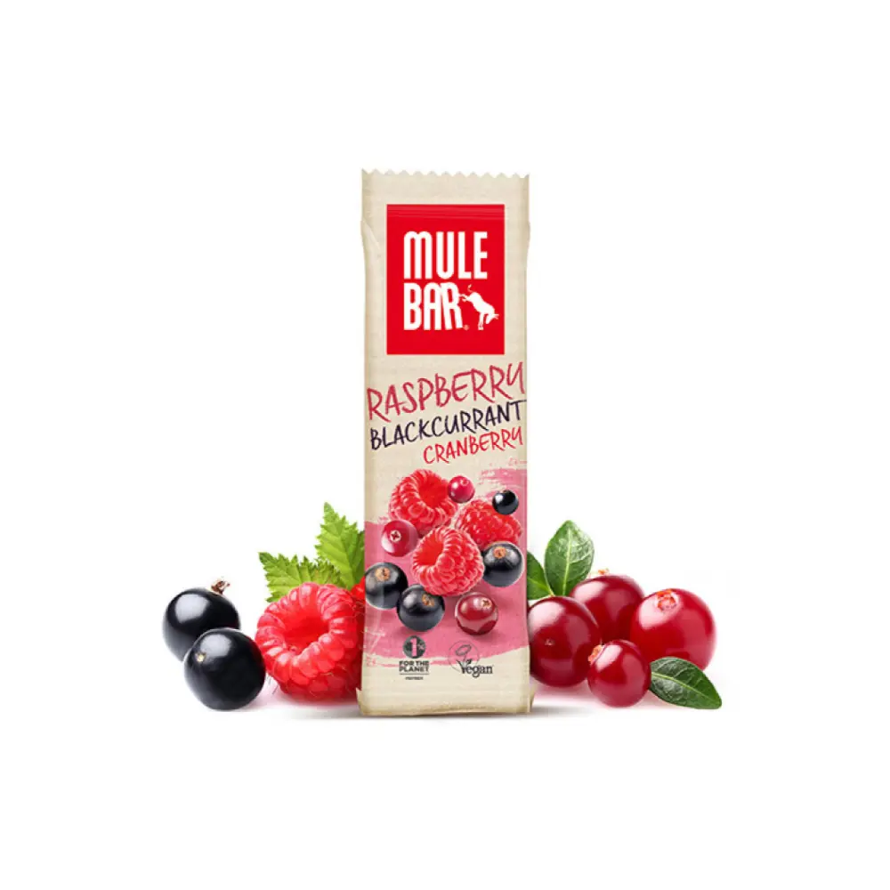 barre-energetique-vegan-40g-framboise-cassis-cranberry