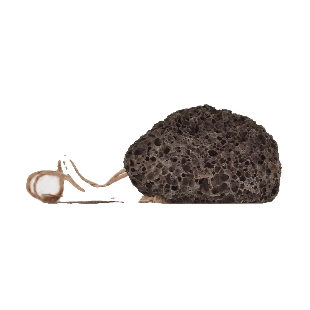 DSC_1311-3760061221048