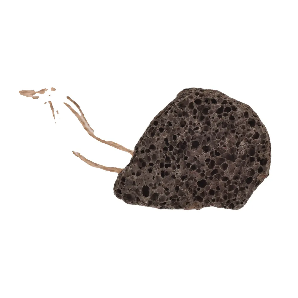 DSC_1312-3760061221048