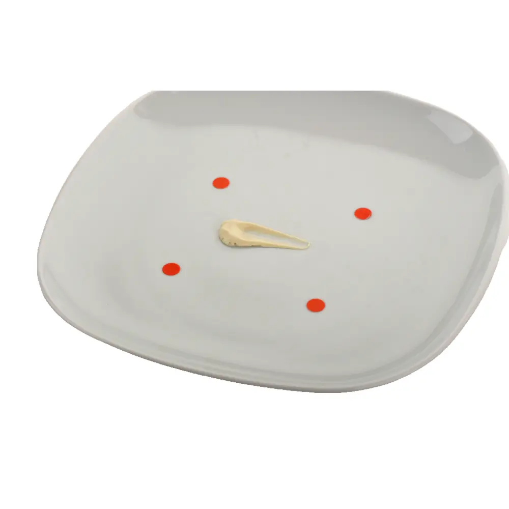 DSC_5301-3700937100039