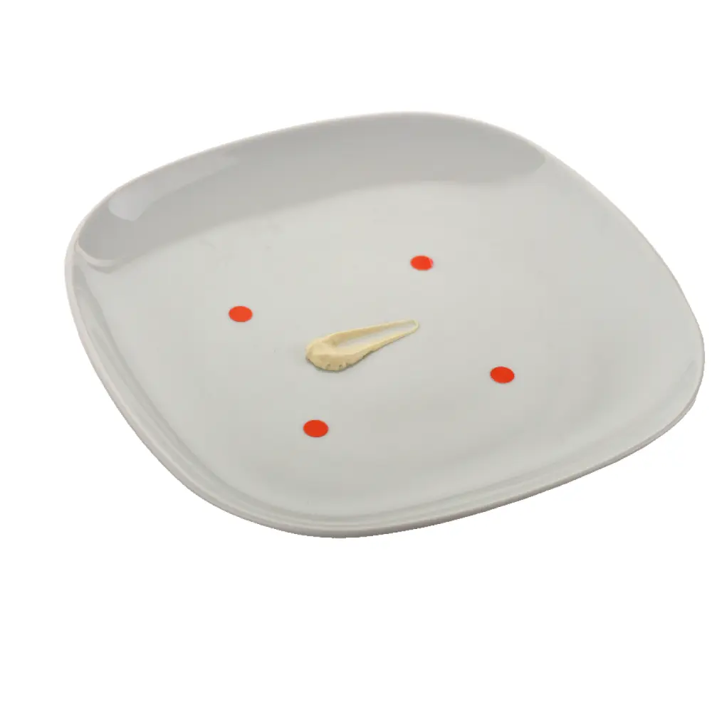 DSC_5302-3700937100039