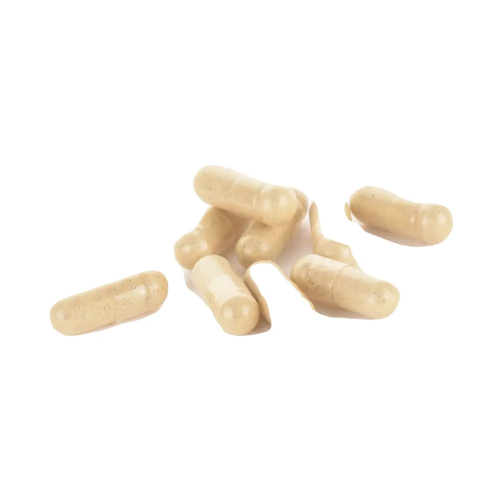 DSC_8555-3770017668094