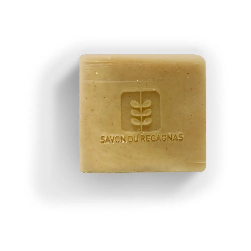 savon-shampoing-solide