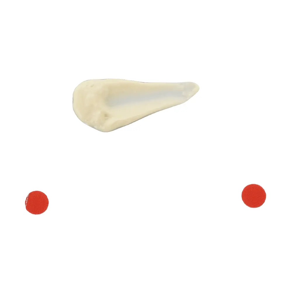 DSC_5384-3700937100022