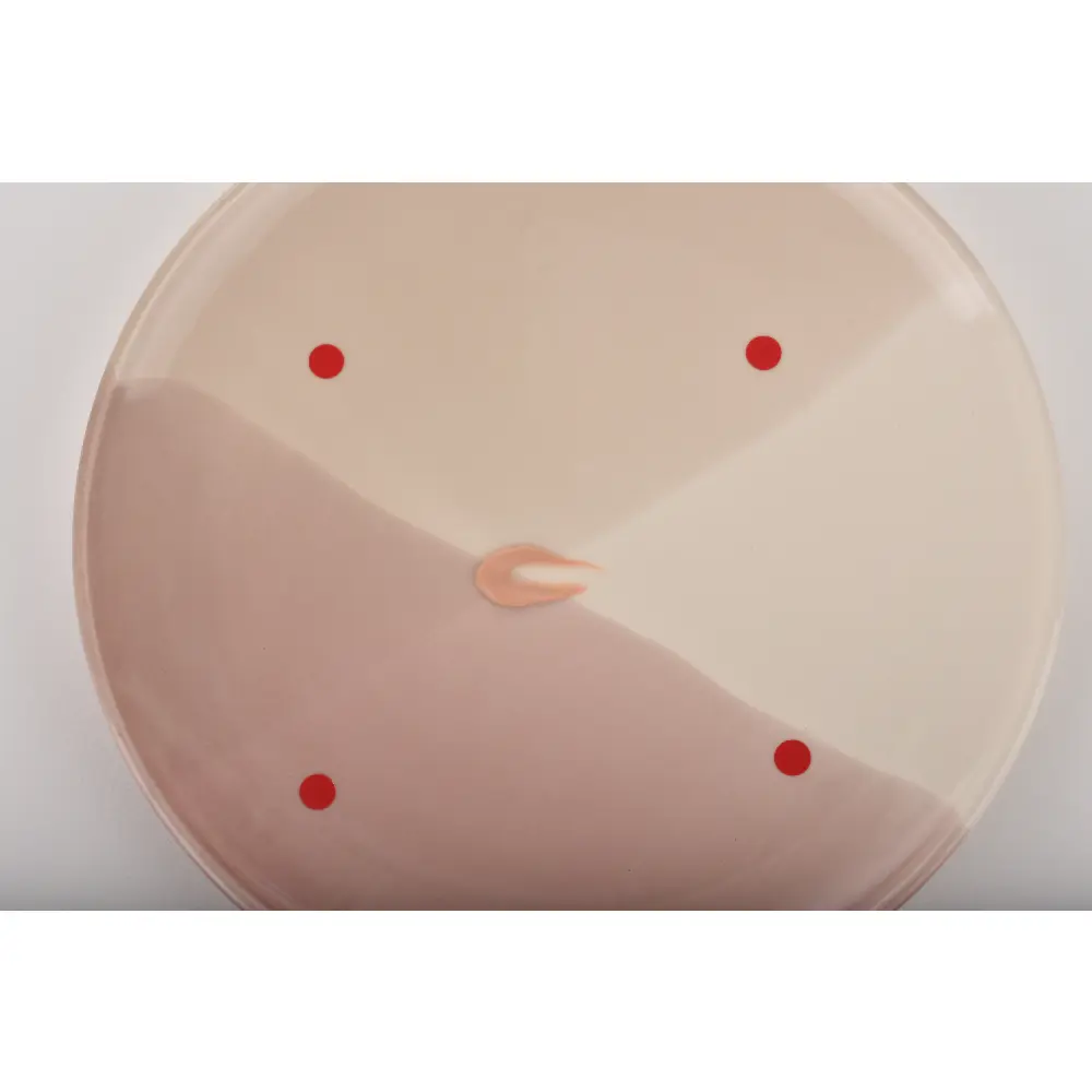 DSC_3320-0099461611283-UNKNOWN