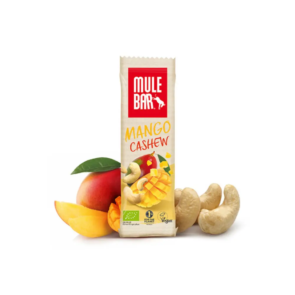 barre-energetique-bio-vegan-40g-mangue-noix-de-cajou
