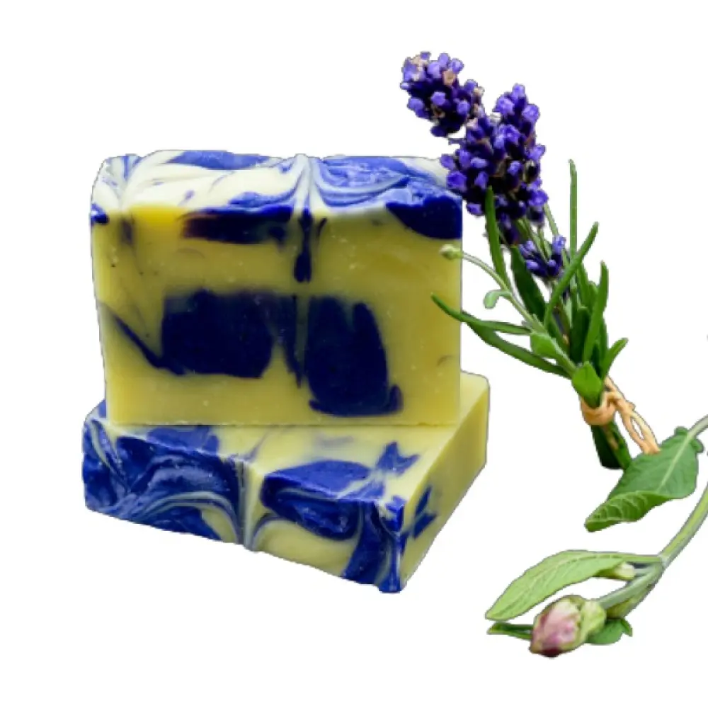 b90b7a86-d2cb-488a-936b-b868802011d3-1