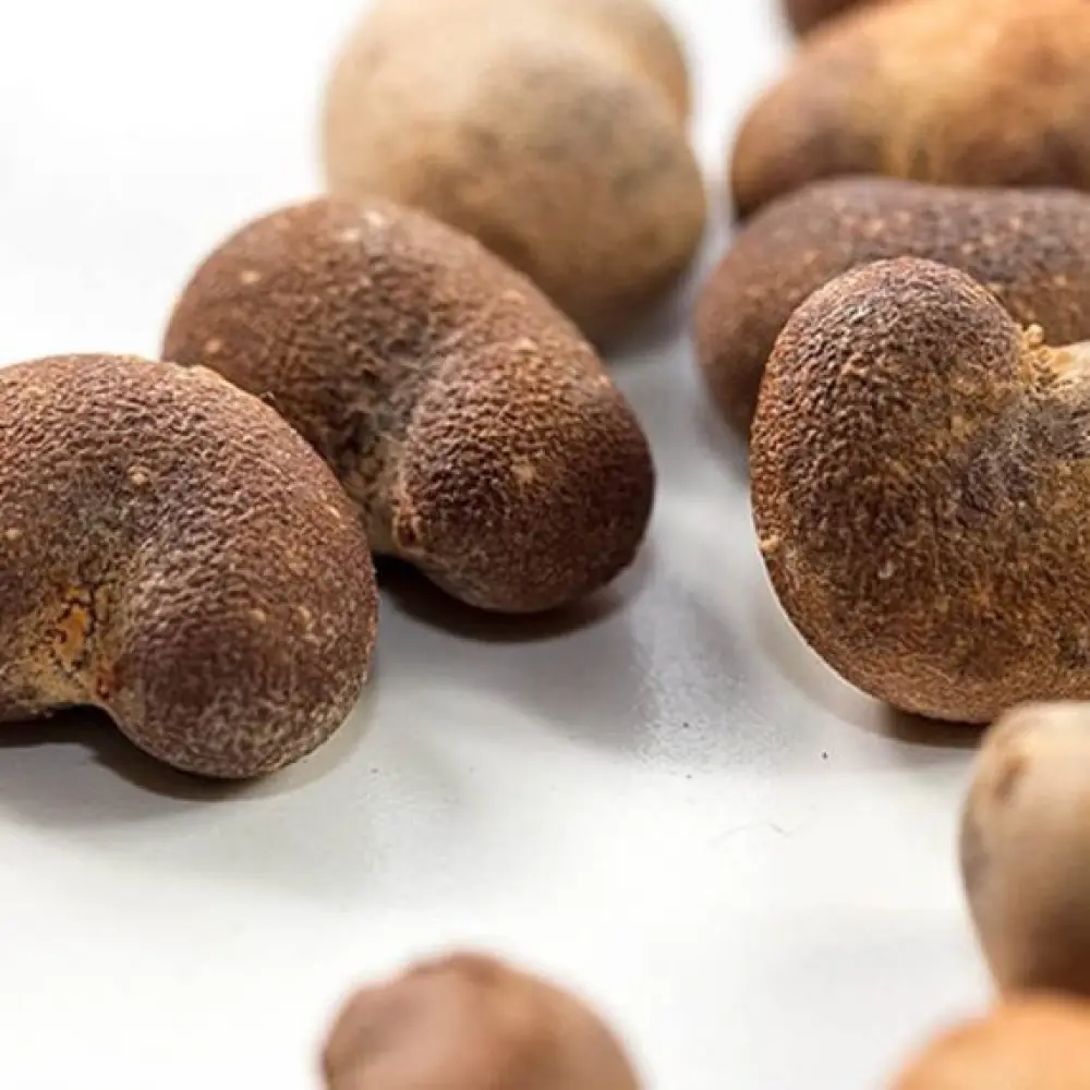 Huile-de-Baobab-2-570x570