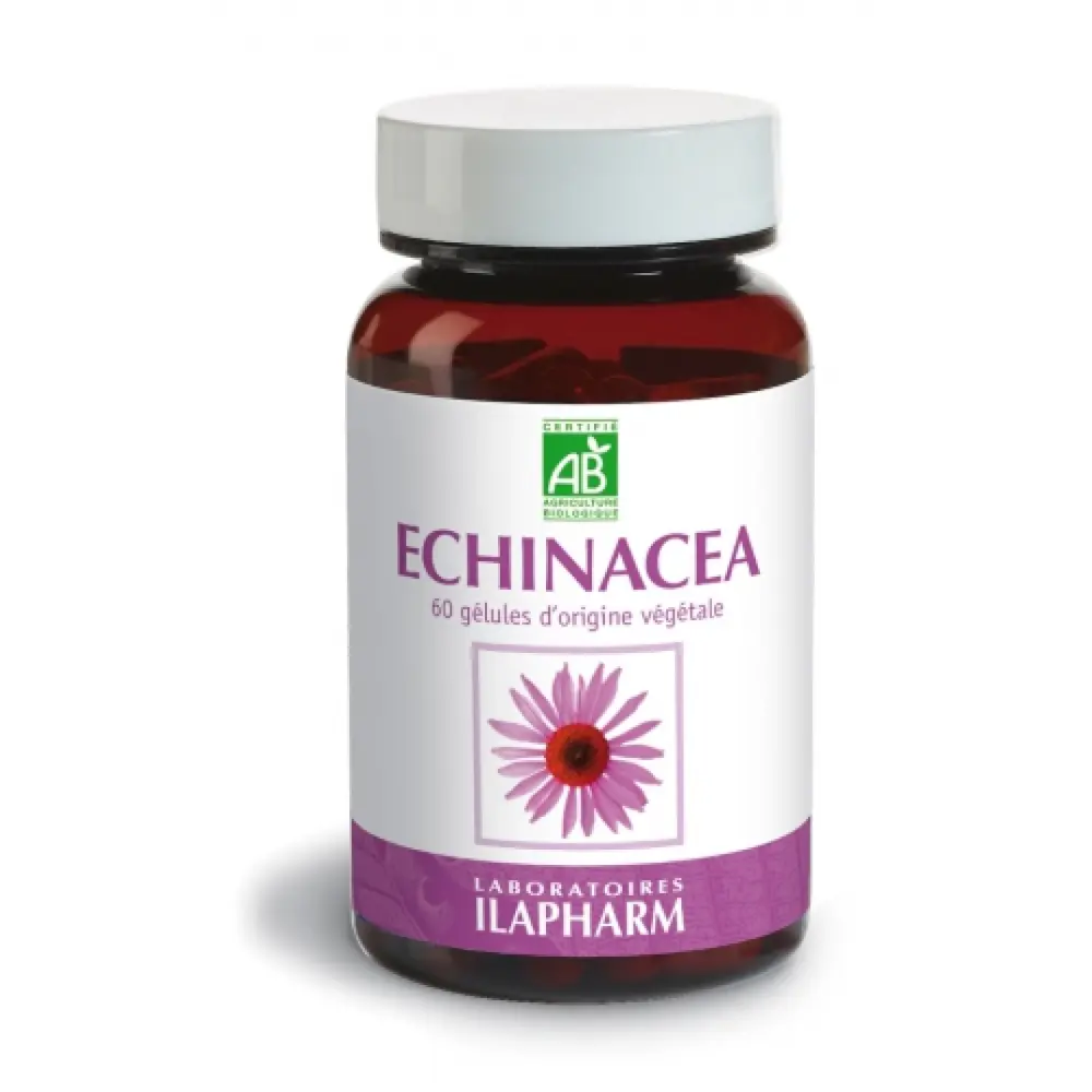 pecb-echinacea-318x500