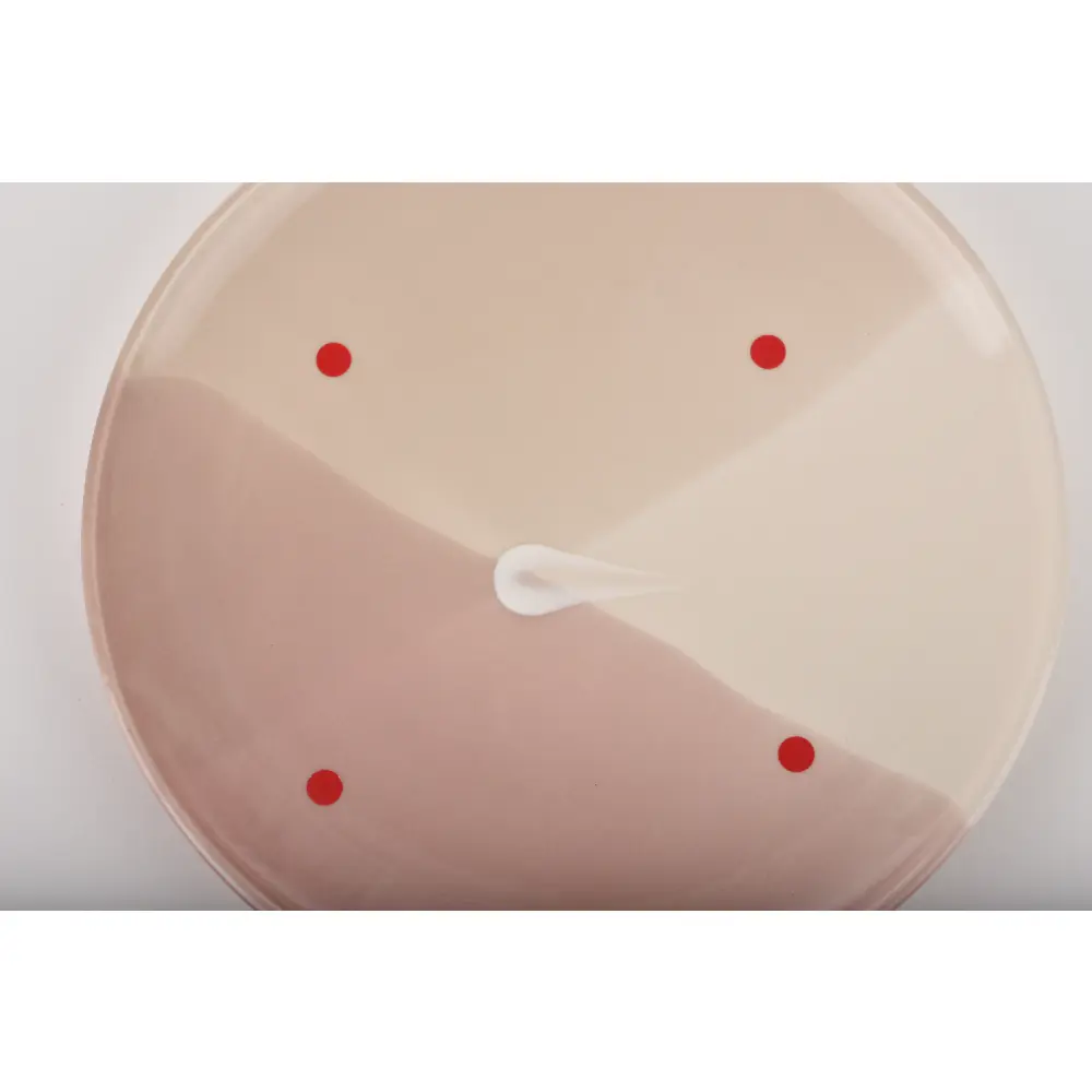 DSC_3302-0099461611252-UNKNOWN