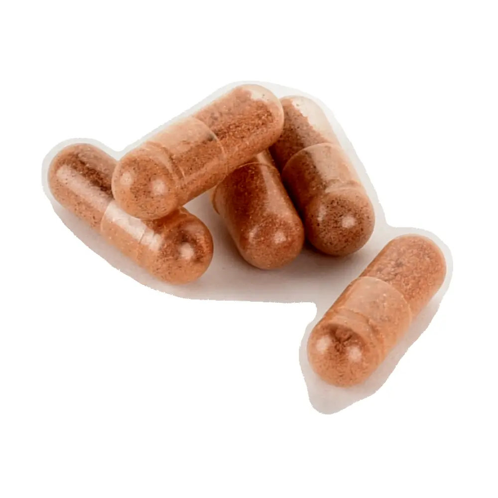 DSC_4666-3760274570087