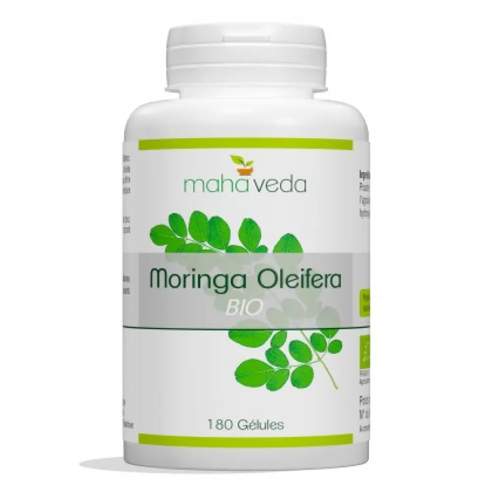 moringa-oleifera