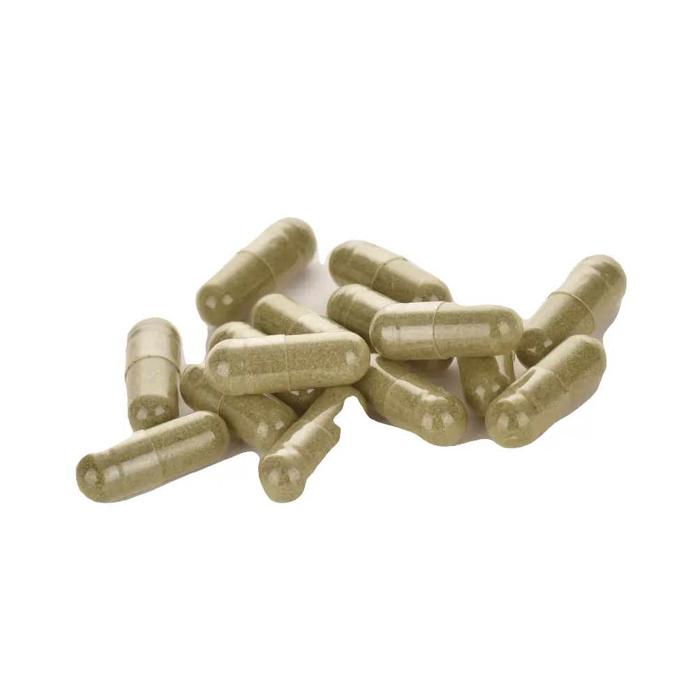 DSC_2450-3760235030216