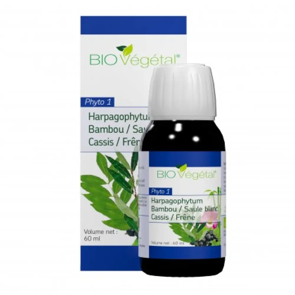 phyto-1-complement-alimentaire-bio