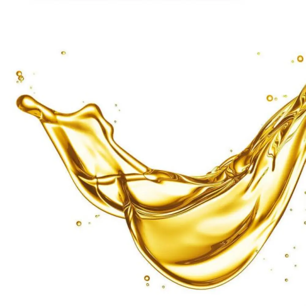 Huile-de-Dattier-du-Desert-Bio-2-570x570