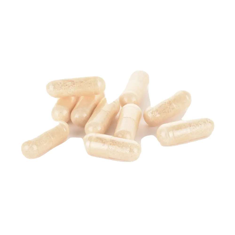 DSC_8539-3770017668100