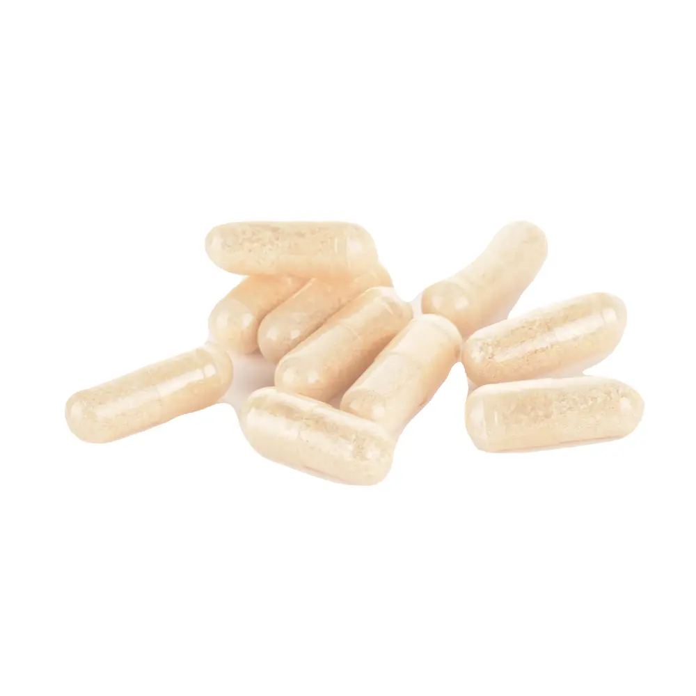 DSC_8540-3770017668100