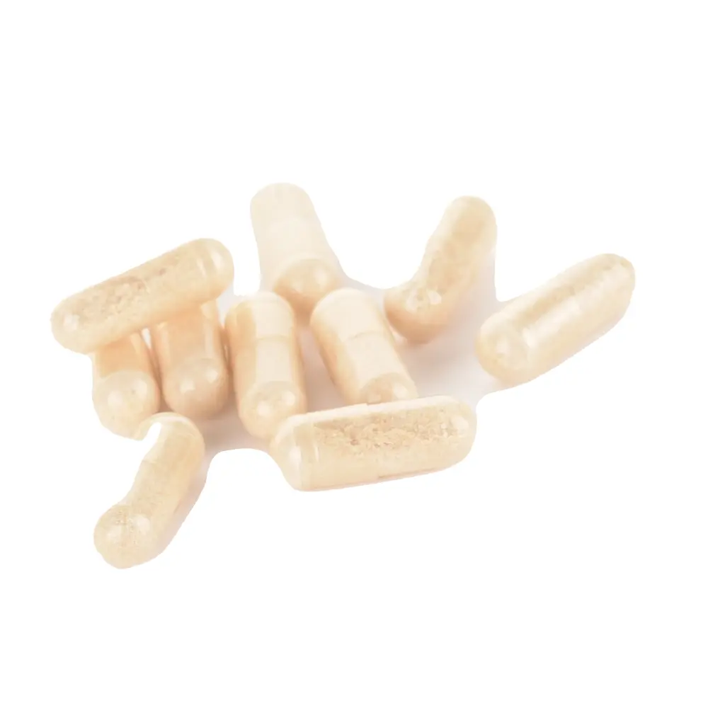 DSC_8541-3770017668100